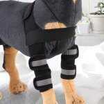 [jamais utilis�]higle de jambe avant de chien chien la jambe avant braceog braces avec sve portage, 1 ...