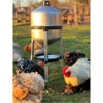 Hobbytech - abreuvoir poules en tôle zinguée avec réservoir de 25 litres, facile à remplir, déranger ... Hobbytech - abreuvoir poules en tôle zinguée avec réservoir de 25 litres, facile à remplir, déranger ...