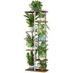 Hoerfuriy - tag�re � plante porte plante multifonction cr�atif escalier � fleurs d�coratif pour balcon ...