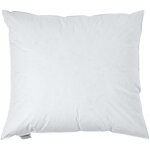 Homescapes - oreiller en duvet de canard, 60 x 70 cm