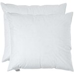 Homescapes - oreiller en plumes de canard 60 x 70 cm, lot de 2