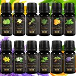 Huiles essentielles naturelles pour aromath�rapie, lot de 12.
