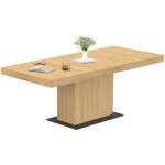 Idmarket - table  manger extensible rectangle eden 6 - 10 personnes bois et socle noir 160 - 200 cm