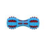 Halt�re dentition fidelami - jouet sonore pour chien - hygi�ne dentaire