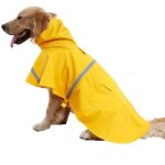 Imperm�able � capuche r�glable et r�fl�chissant pour chiens de petite, moyenne et grande taille (l, jaune) ...