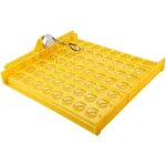 Incubateur automatique  56 ?ufs, 110 v, retourneur d'?ufs, plateau pour cailles, oies, poulets