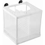 Fei yu - incubateur  poissons bote de maillage aquarium levage closerie rservoir de poissons bote ...