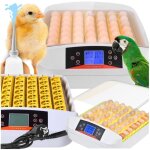 Incubateur d'?ufs �closoir automatique couvoir �levage de volaille ovoscope 56