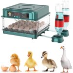 Incubateur d'?ufs professionnel, (sr - 024) couveuse automatique numérique pour poulet, couveuse de volaille ... Incubateur d'?ufs professionnel, (sr - 024) couveuse automatique numérique pour poulet, couveuse de volaille ...