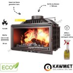 Insert  bois fonte w15 10 kw wr kawmet