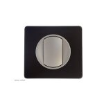 Interrupteur ou va - et - vient cliane complet basalte griffes: avec griffes