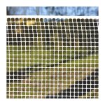 Verdelook - grillage carr� blanc 1x5 m�tres - maille 10x10mm - hdpe uv stabilis�