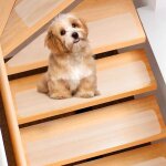Lot de 15 tapis d'escalier antidérapants transparents pour marches en bois - protection antidérapante ... Lot de 15 tapis d'escalier antidérapants transparents pour marches en bois - protection antidérapante ...