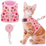 Jalleria - harnais anti - fuite pour chat - harnais de promenade élégant en maille pour chat et chien, ... Jalleria - harnais anti - fuite pour chat - harnais de promenade élégant en maille pour chat et chien, ...