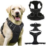 Jalleria - harnais chien, rflchissant respirante harnais anti traction pour chien avec attache devant ...