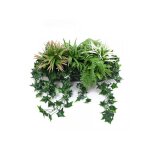 James grass - jardinire plantes artificielles fougres et lierre