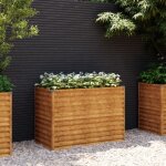 Jardini�re?lit sur�lev� de jardin 100x50x69 cm acier corten cfw22419