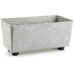 Jardini�re salvia, b�ton gris