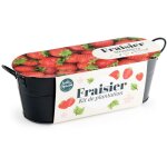 Jardini�re zinc noir 30 cm - fraisier
