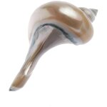Coquillage - repose - couteau en nacre - 9. 5cm - fait main - pièce unique - style bord de mer - Élégant ... Coquillage - repose - couteau en nacre - 9. 5cm - fait main - pièce unique - style bord de mer - Élégant ...
