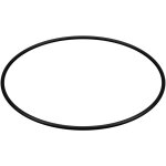 Joint carter pour filtre hayward � swimclear