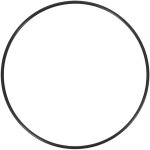 Joint torique o'ring couvercle de filtre  sable piscine xeo diamtre 170 mm