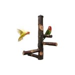 Joody perchoir pour cage de perroquet jouets pour perruche perchoir en bois naturel pour 3 ou 4 petits ...