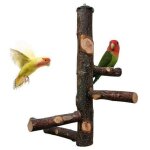 Joody perchoir pour cage de perroquet jouets pour perruche perchoir en bois naturel pour 3 ou 4 petits ... Joody perchoir pour cage de perroquet jouets pour perruche perchoir en bois naturel pour 3 ou 4 petits ...