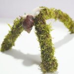 Jouets d'escalade pour animaux de compagnie, accessoire idal pour terrarium d'escargot, parfait pour ...