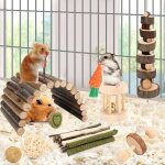 Jouets  mcher pour hamster, cochon d'inde, accessoires pour cage  hamster, petits animaux, jouets ...