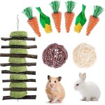 Jouets � m�cher pour lapin nain, jouets snacks pour petits animaux, jouets de cochon d'inde, soins des ...