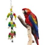Jouet pour oiseau en bois color� avec lettres, cubes et clochette, accessoire interactif pour perroquets ...