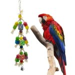 Jouet pour oiseau en bois color� avec lettres, cubes et clochette, accessoire interactif pour perroquets ...
