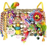 Jouet pour oiseaux, perruches, nourriture � m�cher, � m�cher, jouets pour perroquets, nourriture pour ...
