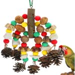 Jouets pour perroquets, noix riches en nutriments, jouet � mordre en bois naturel pour cage de perroquet, ...