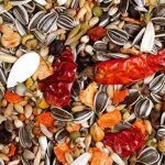 Jr farm individual africa grey - nourriture premium d�di�e aux gris du gabon 950g