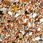 Jr farm individual - nourriture d�di�e aux tourtereaux 1kg