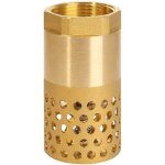 Clapet anti - retour pompe 1 pouce - clapet de pied clapet crepine anti retour (1 pouce)