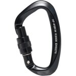 Lifcausal - karabiner d'alpinisme, longueur: 100 mm, 1 pice
