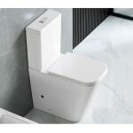 Karag - ensemble cuvette wc sans bride rimless  poser sean - avec abattant et rservoir