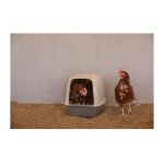 Pondoir pour poules kerbl 52 x 39 x 39 cm
