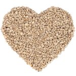 Lyra pet - kg de graines de tournesol ® pelées bruch hk bulgarie Lyra pet - kg de graines de tournesol ® pelées bruch hk bulgarie