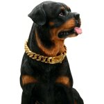 Kinsi - collier en pour chien en or avec boucle de conception s�curis�e, r�sistant � la mastication(or, ...