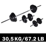 Kit de barre d'halt�re et 2 halt�res 30, 5 kg vidaxl
