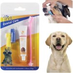 Kit dentaire dentifrice chien, brosse  dents pour chiens avec dentifrice, dentifrice chien, brosse  ...