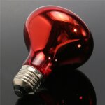 Kit lampe chauffante reptile - ampoule chauffante pour tortue lézard poussin serpent hamster 150w lot ... Kit lampe chauffante reptile - ampoule chauffante pour tortue lézard poussin serpent hamster 150w lot ...