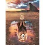 Kit de peinture au diamant 5d, kit de peinture au diamant bricolage, kits de forage complets, peinture ...