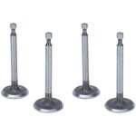 Kit de soupapes de moteur, 2 ensembles de soupapes d'admission antirouille en acier inoxydable pour moteurs ...