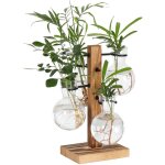Kit de terrariums pour plantes, support de pot de fleurs hydroponiques de bureau, station de propagation ...