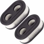 Lablanc - lot de 2 filtres  air 593260 798452 334404 pour tondeuse  gazon, filtres de rechange pour ...